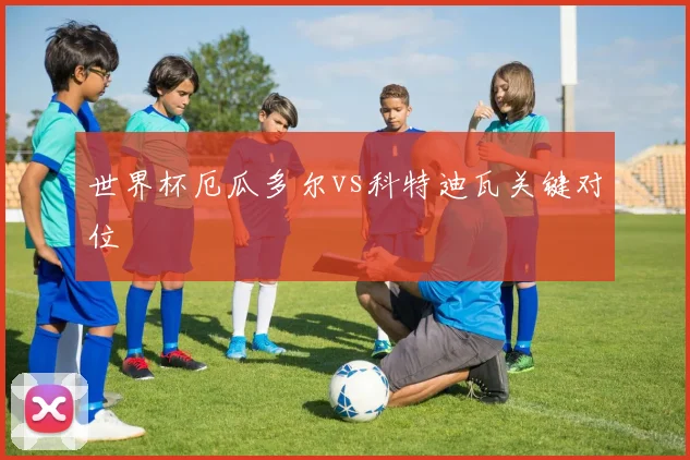 世界杯厄瓜多尔vs科特迪瓦关键对位