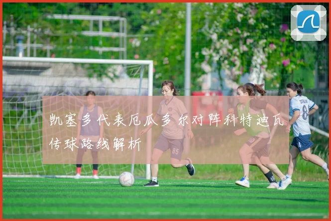 凯塞多代表厄瓜多尔对阵科特迪瓦传球路线解析