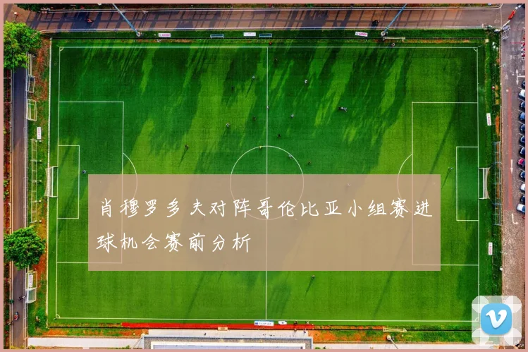 肖穆罗多夫对阵哥伦比亚小组赛进球机会赛前分析