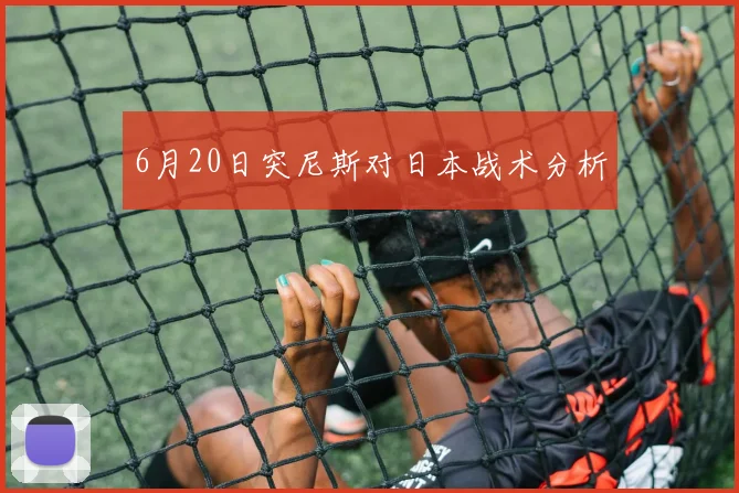 6月20日突尼斯对日本战术分析