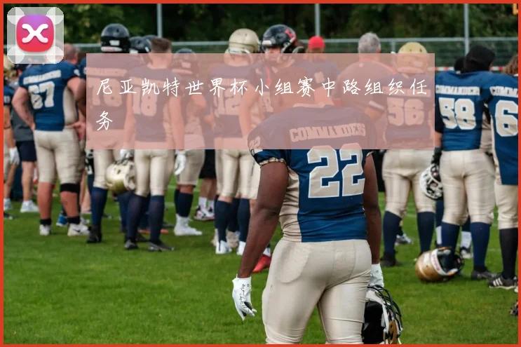 尼亚凯特世界杯小组赛中路组织任务