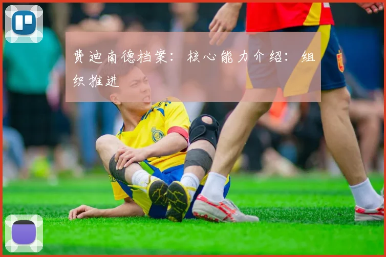 费迪南德档案：核心能力介绍：组织推进