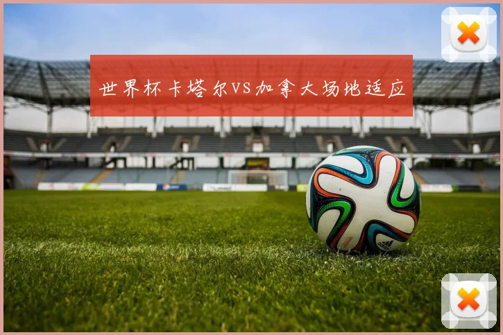世界杯卡塔尔vs加拿大场地适应